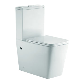 B-P3077 Back to Wall Tornado Silent Washdown Toilet Suite
