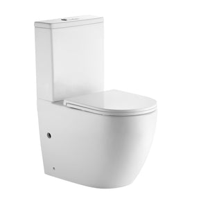 B-P 3079 Back to Wall Tornado Silent Washdown Toilet Suite